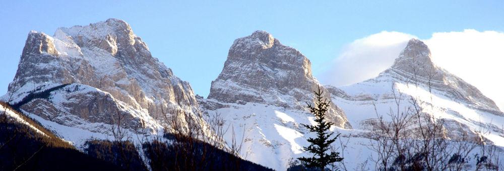 Mountain View Inn كانمور المظهر الخارجي الصورة