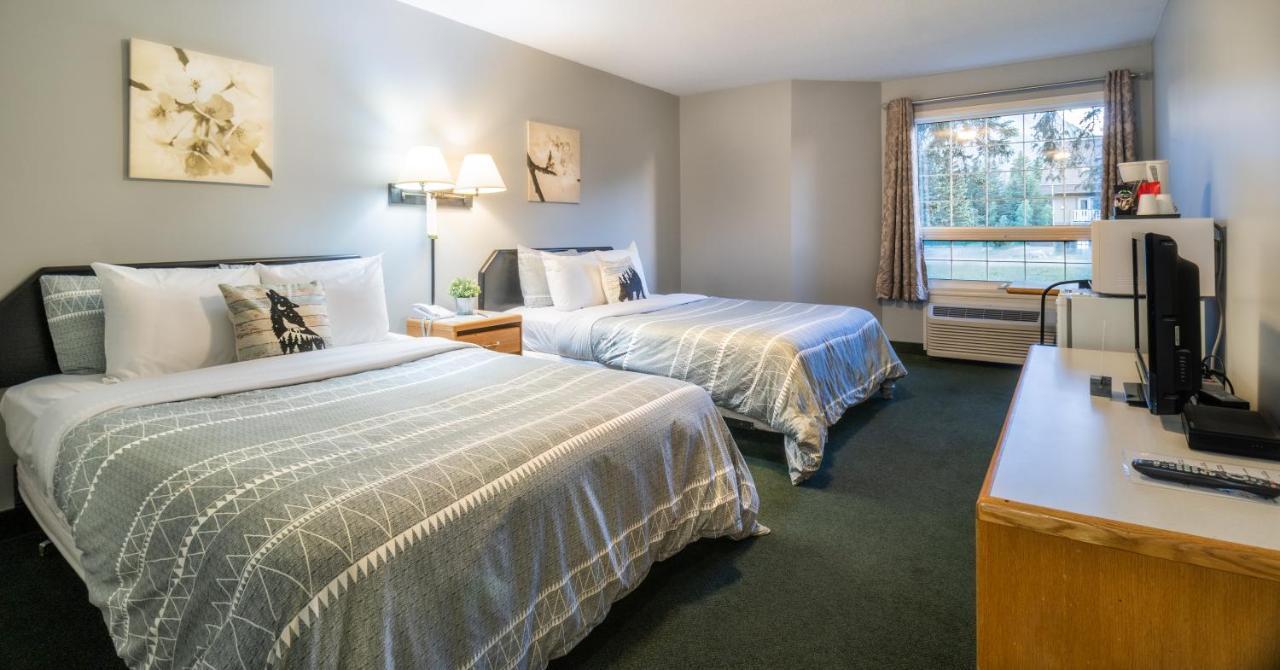 Mountain View Inn كانمور المظهر الخارجي الصورة