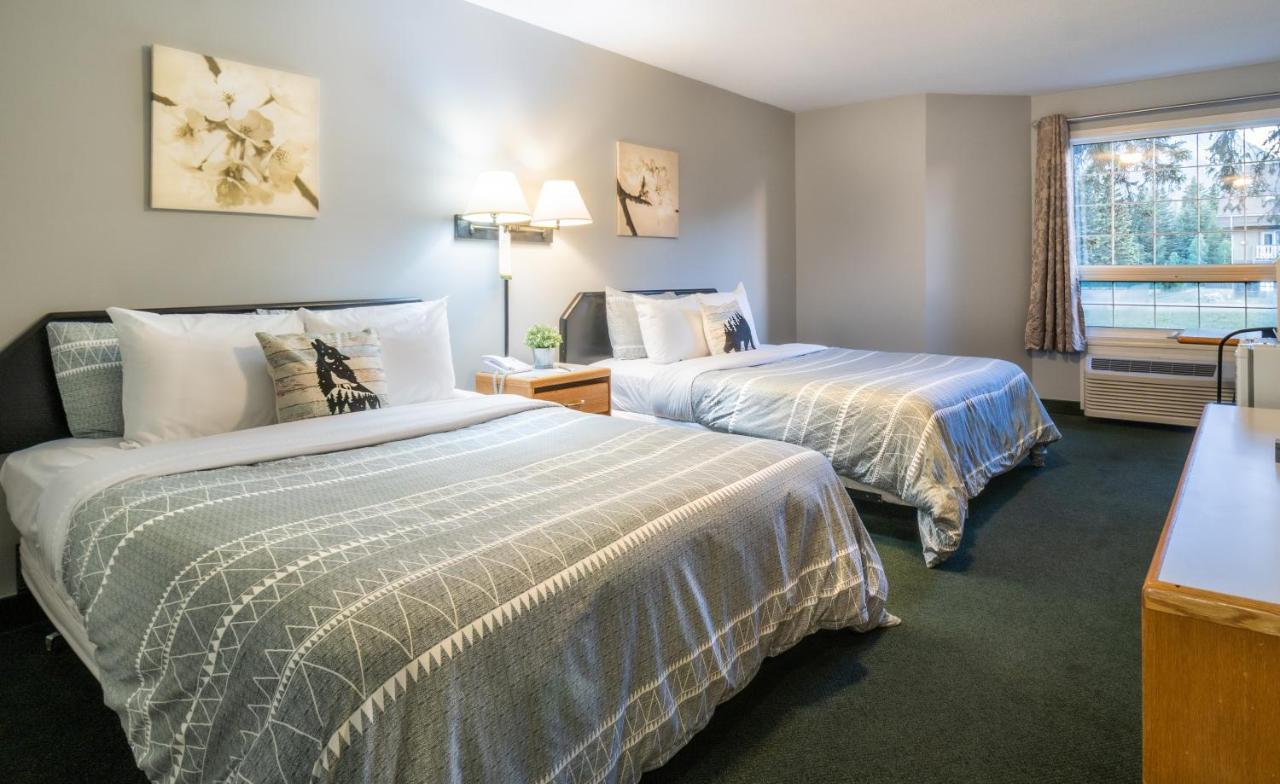 Mountain View Inn كانمور المظهر الخارجي الصورة