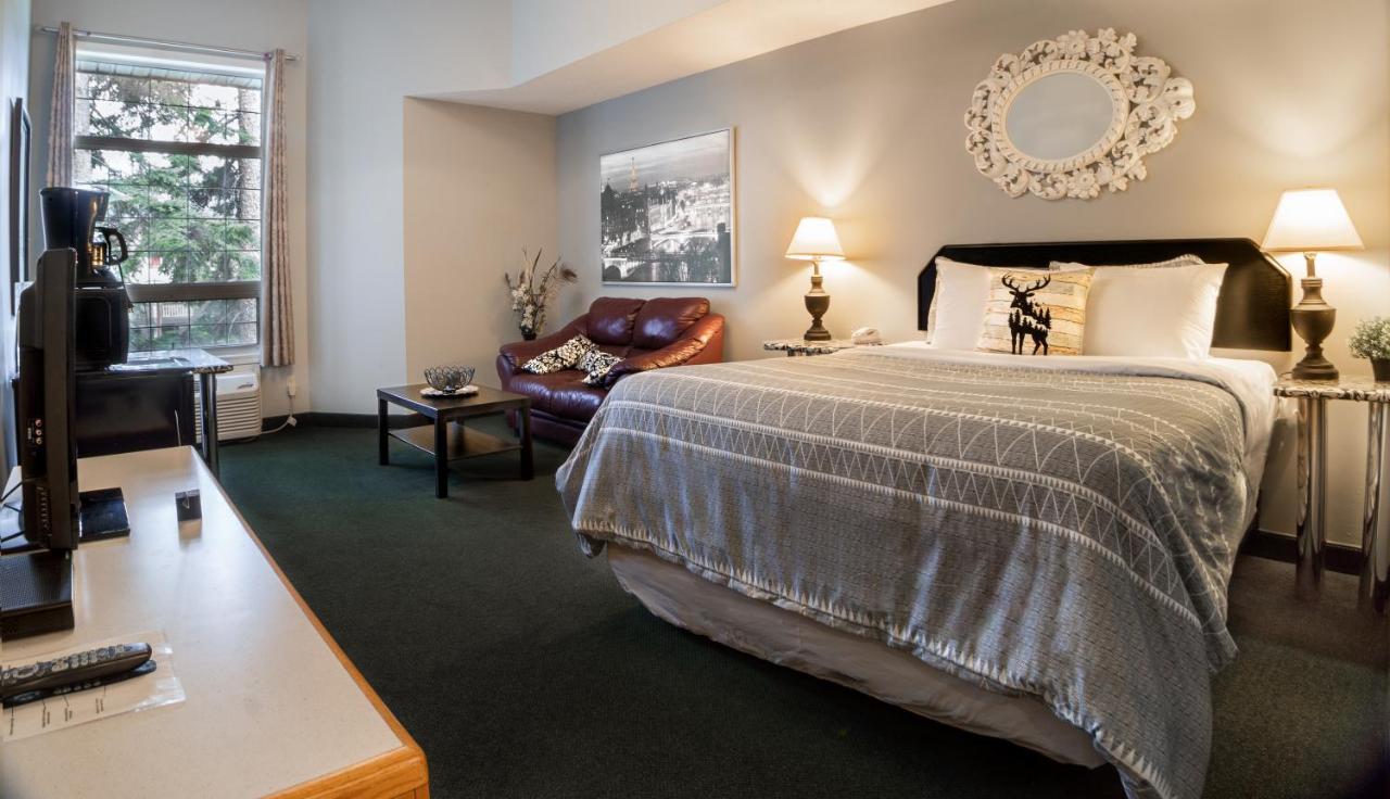 Mountain View Inn كانمور المظهر الخارجي الصورة