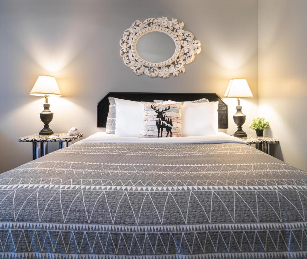 Mountain View Inn كانمور المظهر الخارجي الصورة