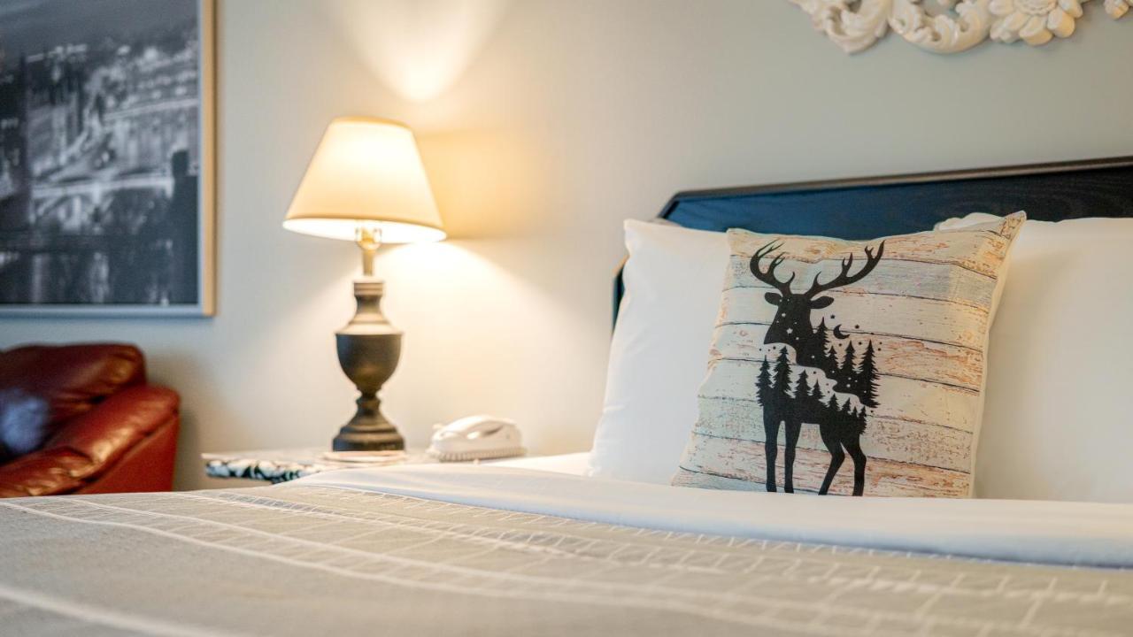 Mountain View Inn كانمور المظهر الخارجي الصورة